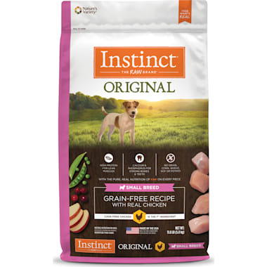 Best food for sales chihuahua terrier mix