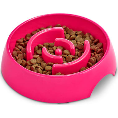 Boston terrier food bowl new arrivals
