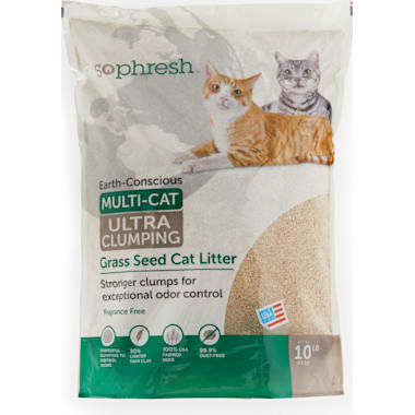 Best litter 2025 for asthmatic cats