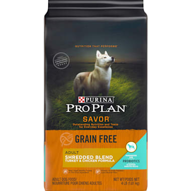 Best dog food without new arrivals dyes
