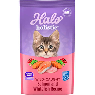 Best cat food clearance for throwing up