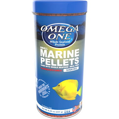 Best Bottom Feeder Fish Food of 2024 According to Customers