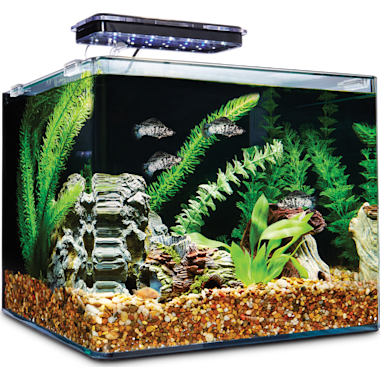 Tetra Betta Fish Aquarium, 0.5 Gallon Fish Bowl with Built in LED Light :  : Pet Supplies