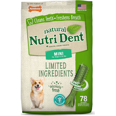 Dental chews for diabetic dogs clearance