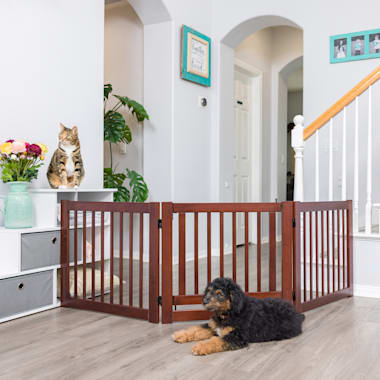 Best Indoor Pet Barrier of 2024 According to Customers Updated