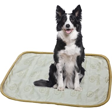Petco discount training pads