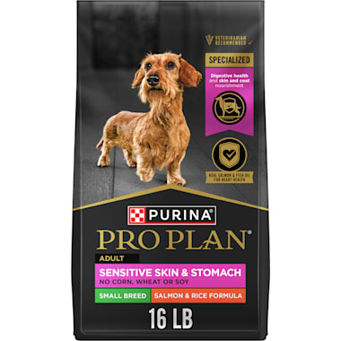 Boston terrier top sensitive stomach