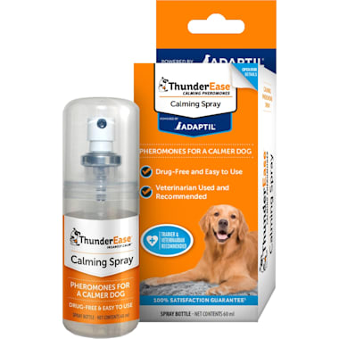 Best No Chew Spray For Dogs of 2024 According to Customers