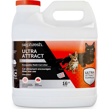 Refillable cat litter petco clearance
