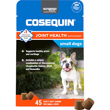 Petco knee best sale brace for dogs