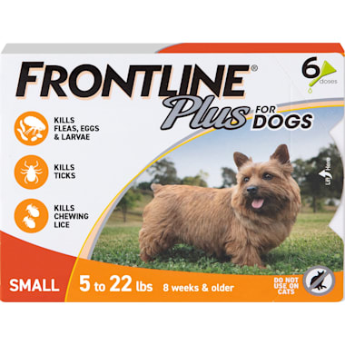 Senior dog hot sale flea control