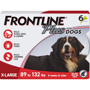 Elderly Dog Flea Treatment Petco