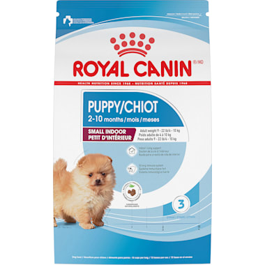 Best Dog Food For Pomeranian Puppy | Petco