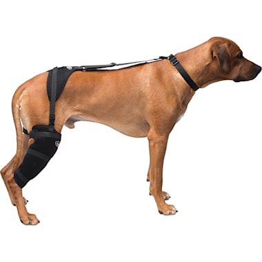 Suitical Recovery Suit for Dogs - Black Medium 2day Delivery for