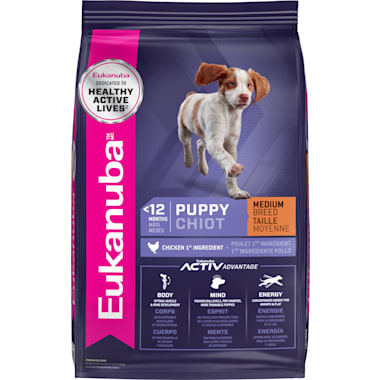 Best dog food for 6 month old puppy hot sale