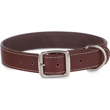 Pet Supplies : Youly Fish-Charm-Studded Brown Leather with Safety