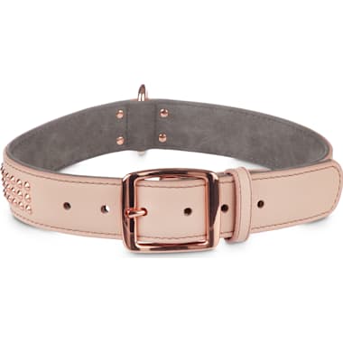 Rose gold dog collar petco online