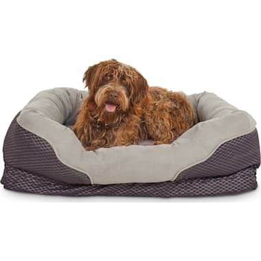 Chew proof dog bed petco clearance