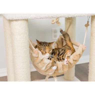 Best cat trees for bengals 2025