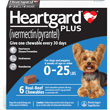 Kennel cough clearance treatment petco