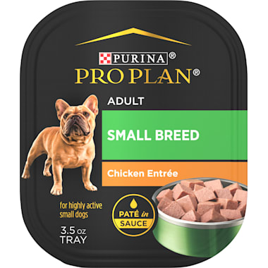 Wet dog food bad for on sale teeth