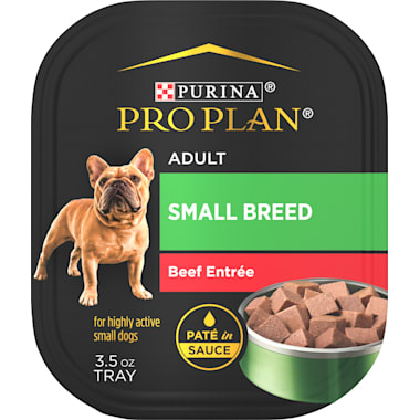 Is wet food discount bad for dogs teeth