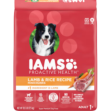 Iams grain free sensitive skin and stomach online