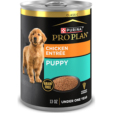 Best wet dog shop food for morkies