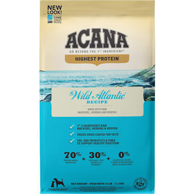 Best dog food for store skin allergies 2020