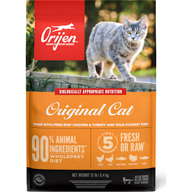 Best dry food store for diabetic cat