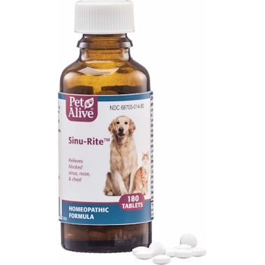 Kennel cough on sale treatment petco