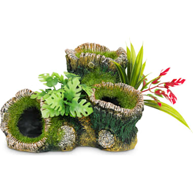Petco fish tank 2025 accessories