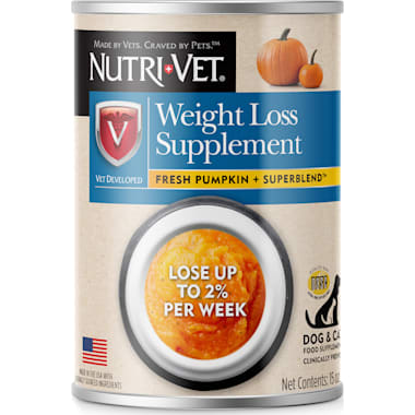 Firm up pumpkin petco top