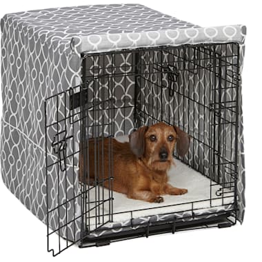 Big dog cheap cages petco