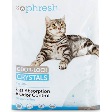 Cat Litter For Long Haired Cats Petco
