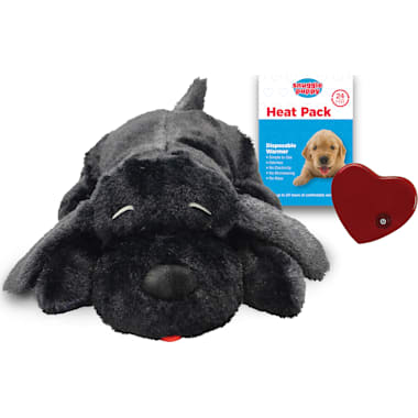 PetMedics 5 in 1 Calming Plush Pal Dog Toy with Sound, Heat and Aroma  Therapy for Dog Anxiety Relief Blue - Best Buy