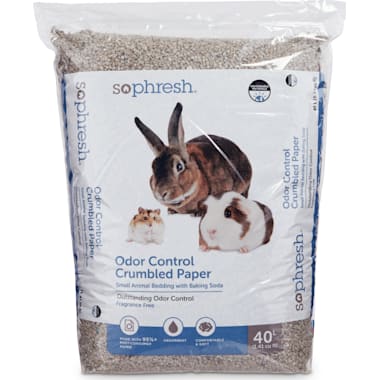 Best Bedding For Rabbits of 2024 According to Customers Updated