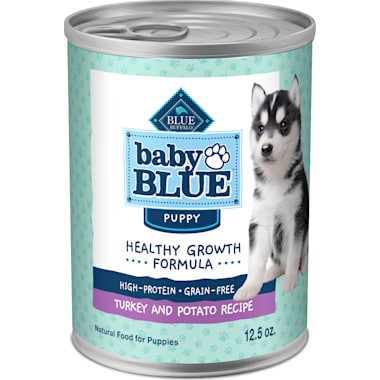 Pitbull feeding for weight gain sale