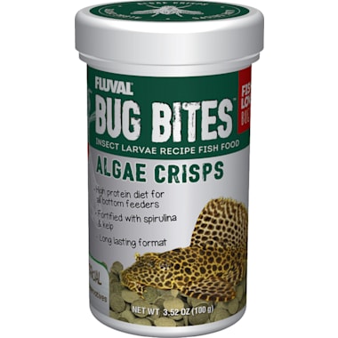 Bottom feeder fish petco best sale