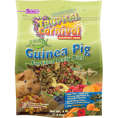 Best Guinea Pig Food of 2024 According to Customers Updated Daily