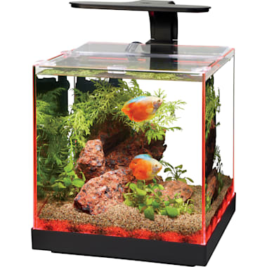Petco shrimp tank sale