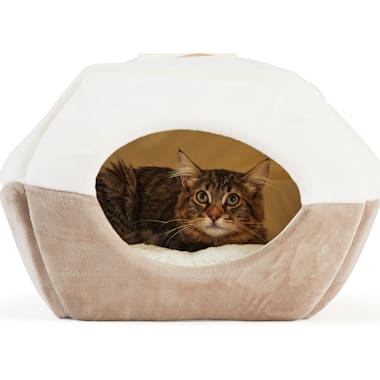 Double cat store bed prices