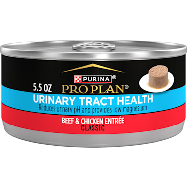 Wet cat food low best sale in ash and magnesium