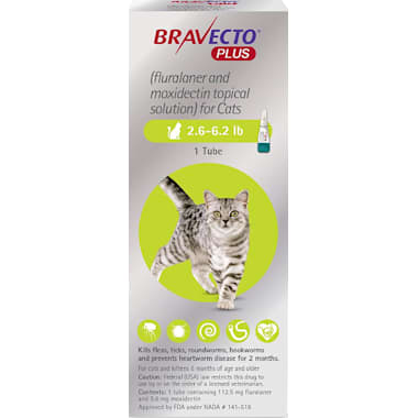 Bravecto Plus Topical Solution for Cats 2.6-6.2 lbs, 2 Month