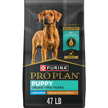 What to new arrivals feed pitbull puppies