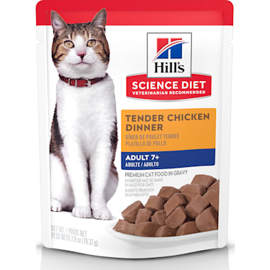 Soft cat food for outlet cats with bad teeth