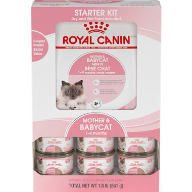 Nursing cat food discount