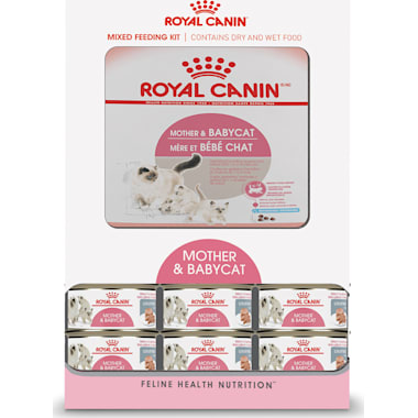 Best cat food deals for nursing moms