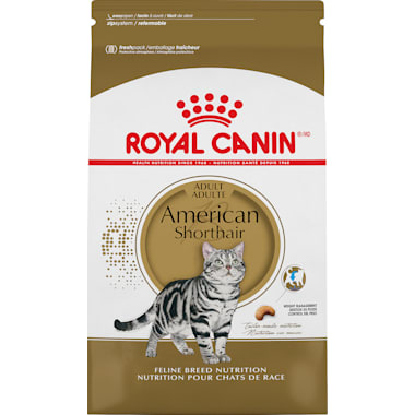 Breeders choice outlet kitten formula