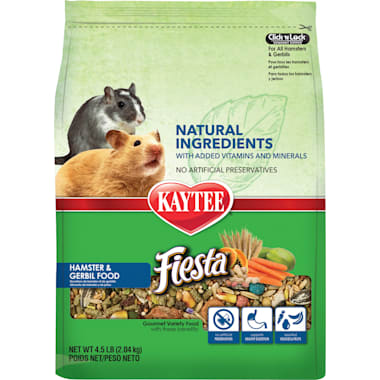 The best store hamster food